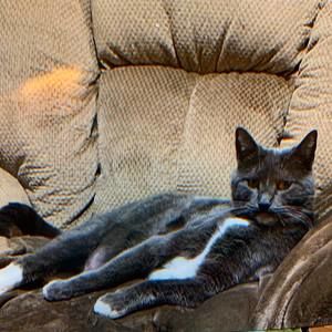 Meet your Posher, Sue